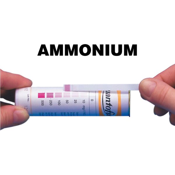 Bandelettes réactives Ammonium